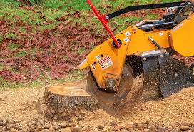 Best Lawn Grading and Leveling  in Wakefield, VA